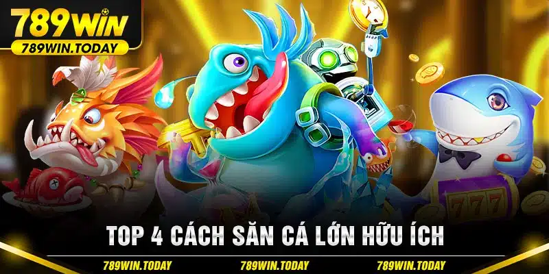 Top 4 cách săn cá lớn hữu ích