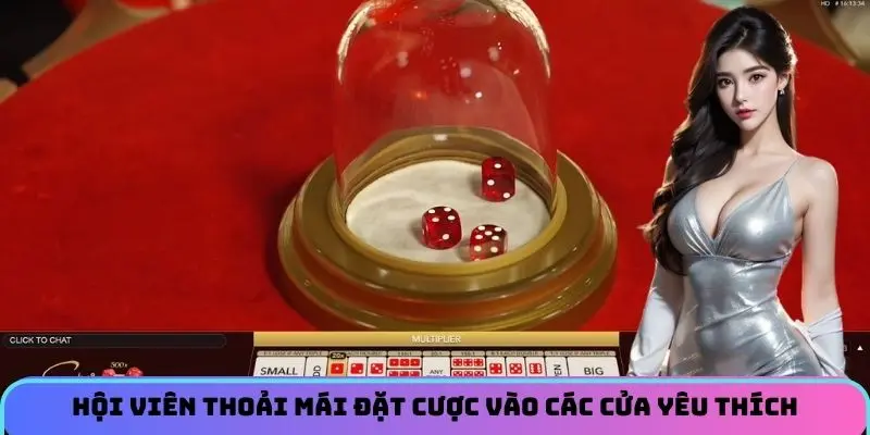 Hội viên thoải mái đặt cược vào các cửa yêu thích