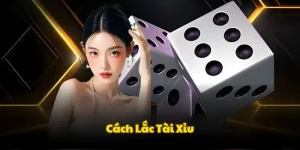 Khám phá chung về những cách xóc xúc xắc Tài Xỉu