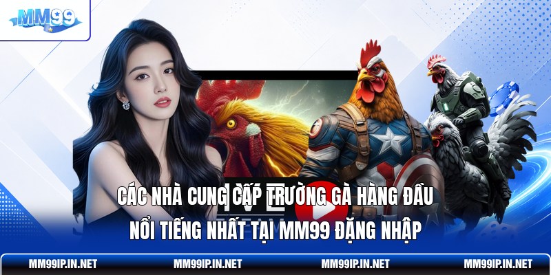 Các nhà cung cấp trường gà hàng đầu nổi tiếng nhất tại MM99 Đặng Nhập