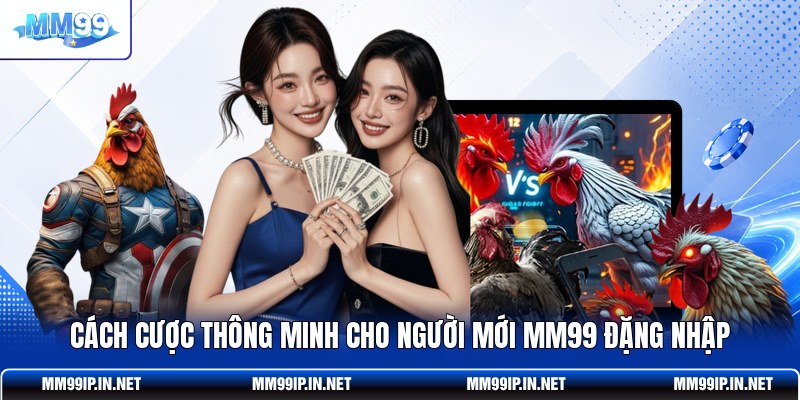 Cách cược thông minh cho người mới MM99 Đặng Nhập