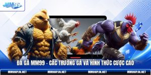 Đá Gà MM99 - Các Trường Gà Và Hình Thức Cược Cao